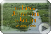 Chill Out! The Law of Attraction in Action - Episode Four